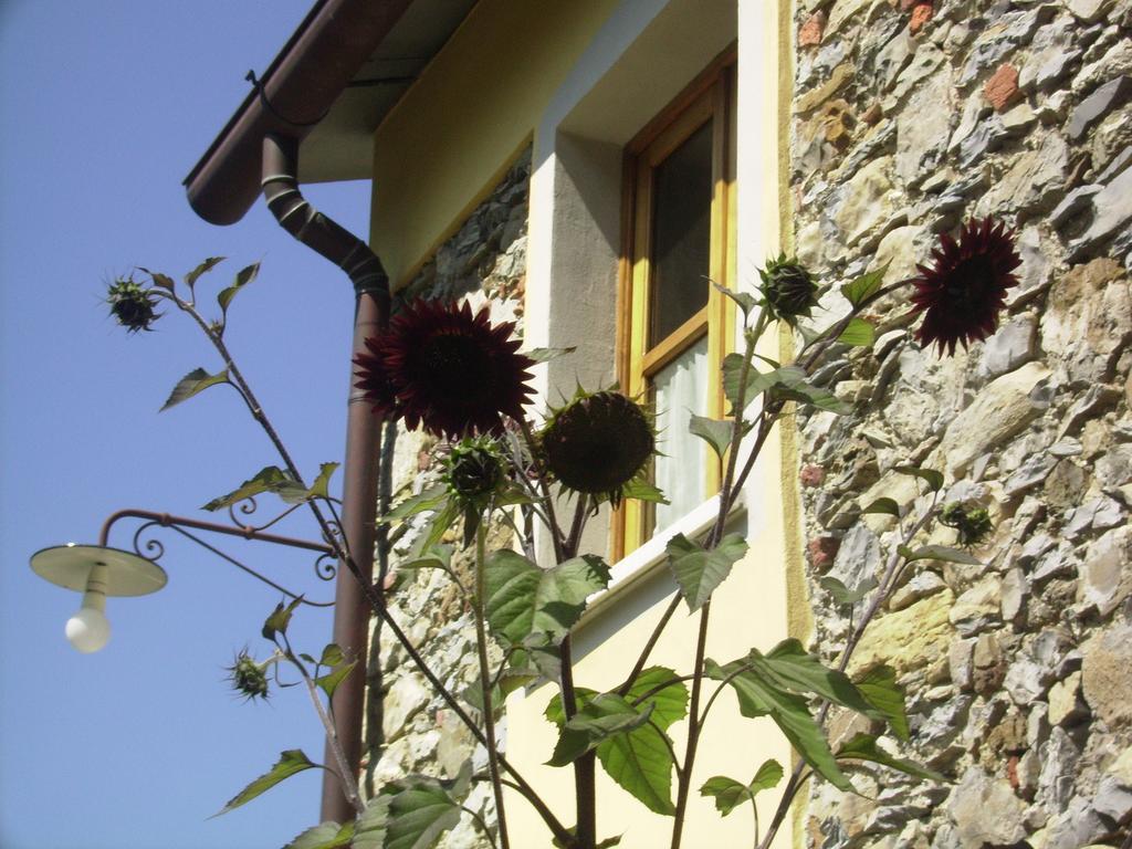 Bed and Breakfast Il Girasole à Fosdinovo Extérieur photo